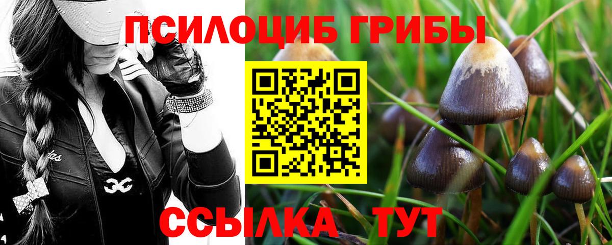 Каспийск  Галлюциногенные грибы мицелий  Вход с VPN 